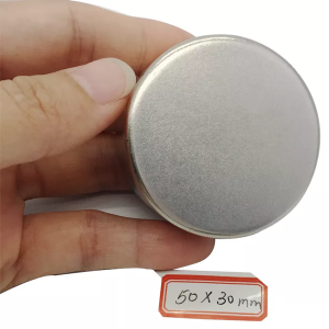 Velký rozměr Disc Neodymový magnet Silný magnet 50×30 mm