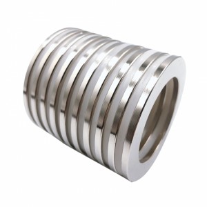 Supplier ng Neodymium Magnet Strong Rare Earth Magnets Ring Magnets