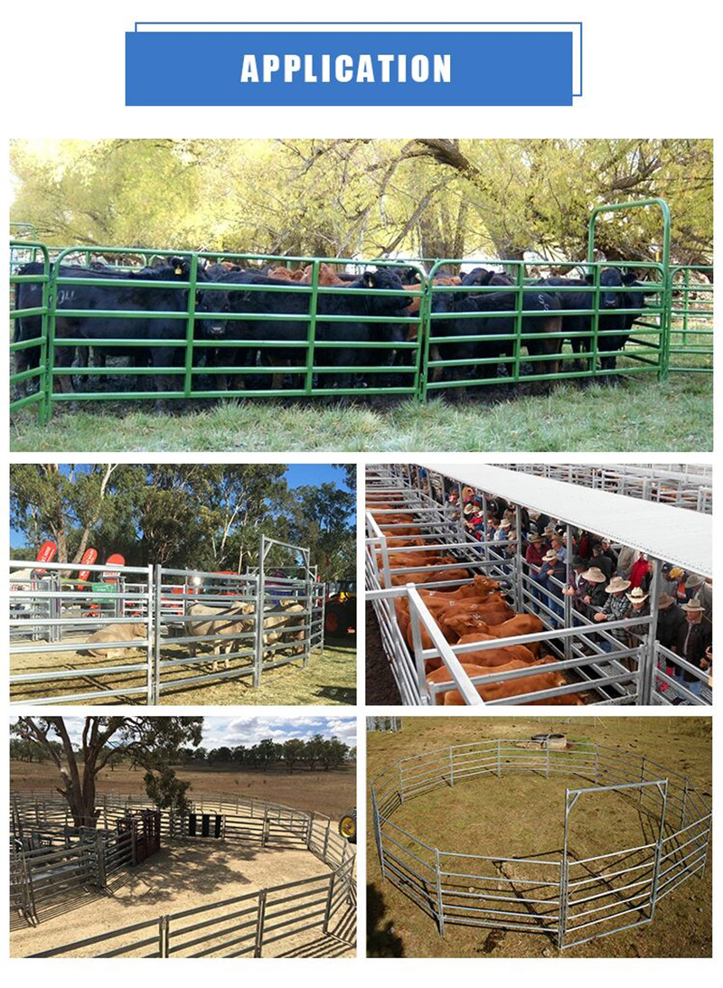 cattle field fence10