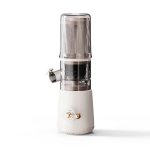 2019 New Style 100W Mini Commercial Stainless Steel Vertical Slow Masticating Centrifugal Grape Citrus Heavy Cold Press Slow Juicer