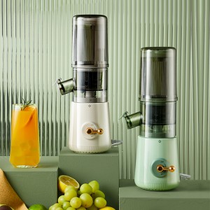 China wholesale China Kitchen Electric Household Commercial Fruit Cold Press Slow Juicer