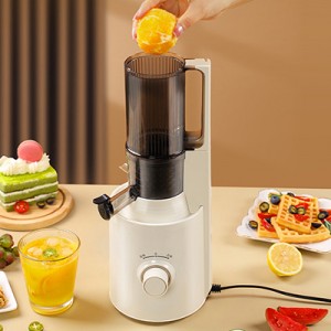 Supply ODM China Multifunctional Citrus Juicers Squeezer Machines Extractor Professional Slow Juicer for Orange Celery Apple Carrot