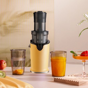 Cold Press Juicer Machine with High Nutrie