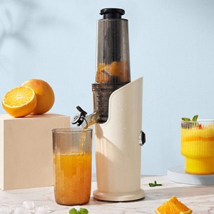 150W juicers Big feeding Mouth electric juicer extractor screw type