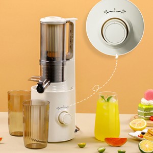 Supply ODM China Multifunctional Citrus Juicers Squeezer Machines Extractor Professional Slow Juicer for Orange Celery Apple Carrot