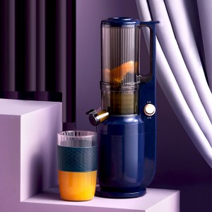 Household Slag Juice Separation Slow Juicer Blender Machine  Fruit Extrator