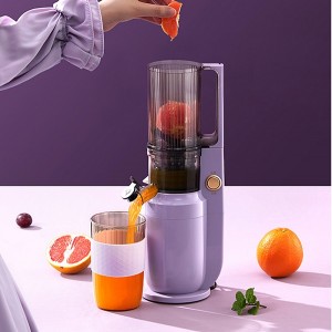 Household Slag Juice Separation Slow Juicer Blender Machine  Fruit Extrator