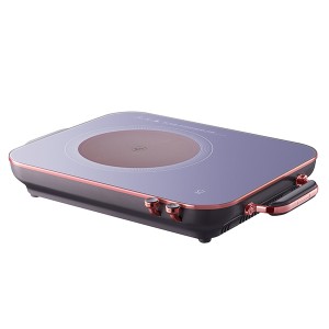 Fashion Portable Induction Cooktop Countertop Burner Induction Hot Cooker Plate