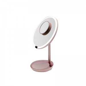 China wholesale Standing Makeup Mirror Suppliers –  RM310 LED Mirror – Mascuge