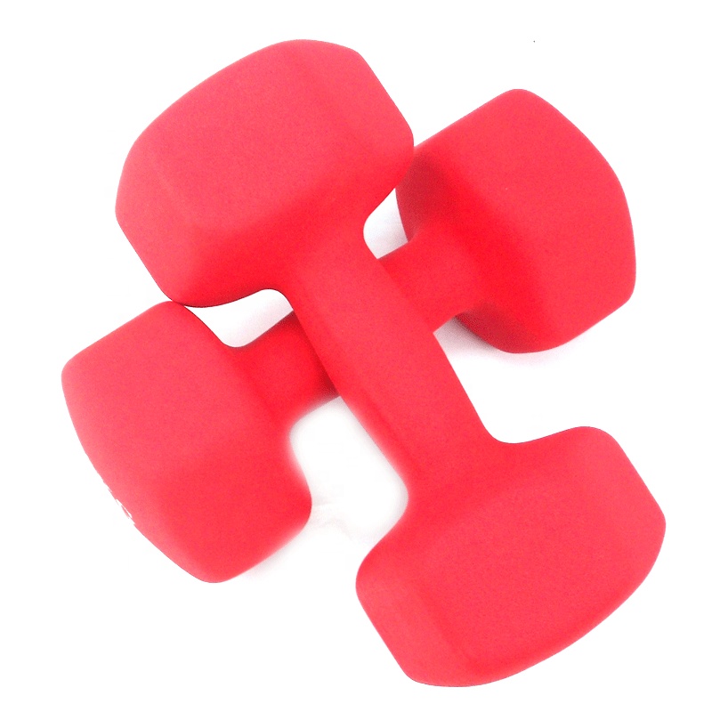Hot sale products gym equipment home rubber hex dumbells dumbbell set