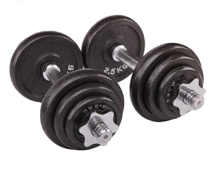 Gym Training Bodybuilding cast iron and painting Adjustable Dumbbells set