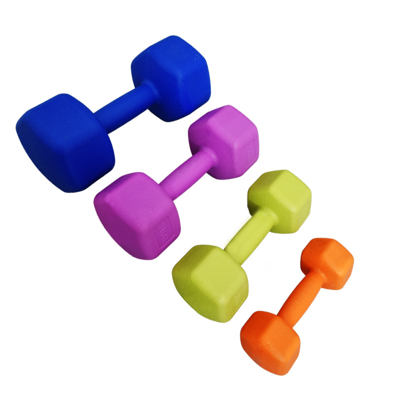 New design Hot sale Cheapest price colorful plastic  Dumbbell