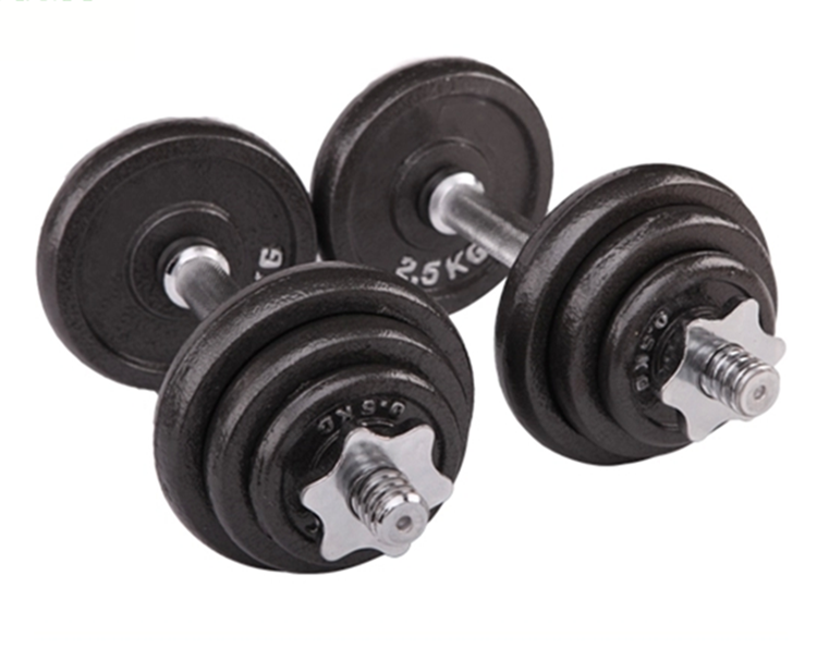 10kg Cast iron painting adjustable dumbbell weights set with rubber handle bar