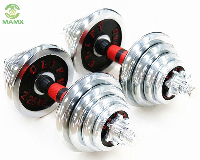 2021 hot sell silver plates cast iron cheap gym set adjustable dumbbell