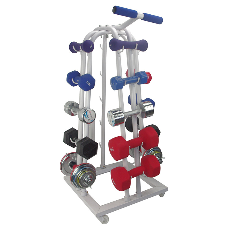 Popular Design for Free Weights Fitness - Movable  Dumbbell Rack Body building Equipment Rack loaded 20 pcs Dumbbell – Meiao