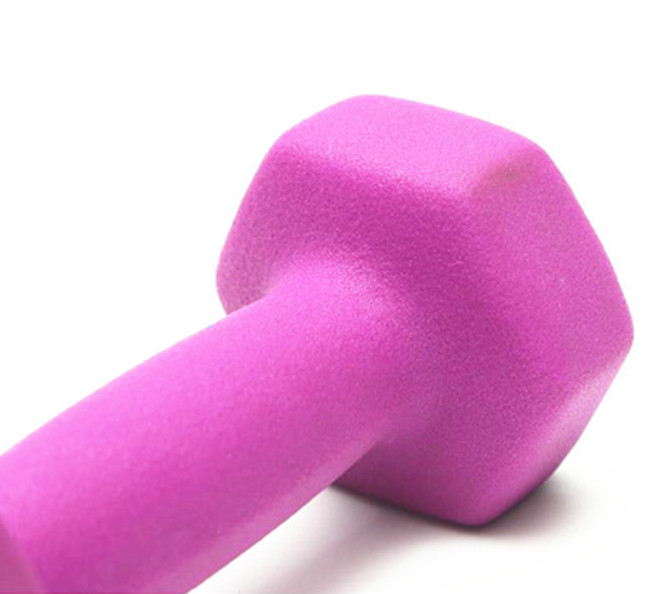 Factory wholesale Bodybuilding exercise Vinyl Dipping colorful Dumbbells