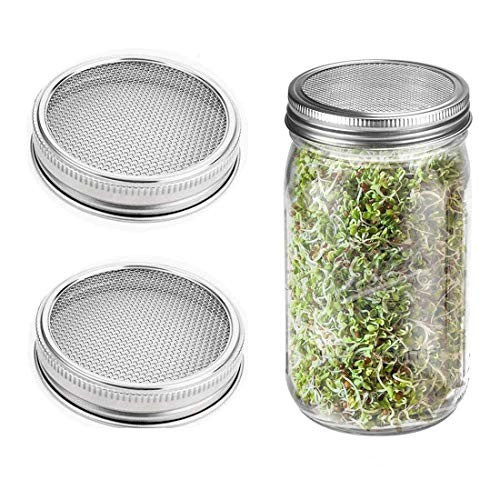 Mason Jar With Stainless Steel Sprouting Lids