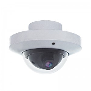 Internal Dome IP Camera