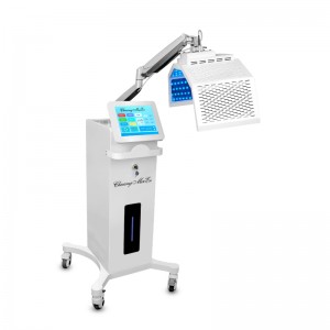Vertical 7 Color PDT Led Light Therpy Beauty Machine