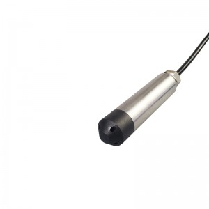 Submersible Liquid Level Sensor with 4~20mA Output for Industry