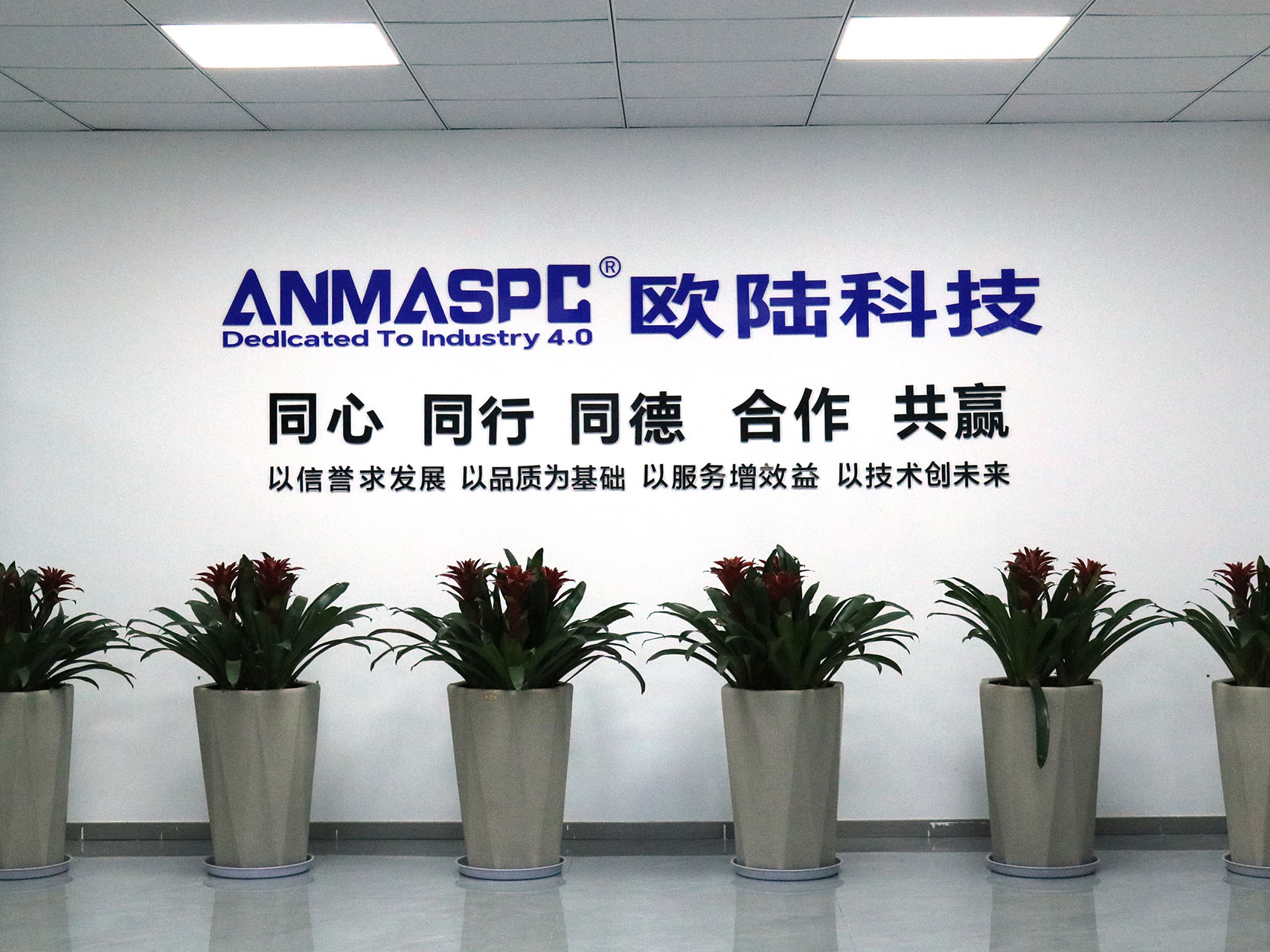 Welcome to visit our company