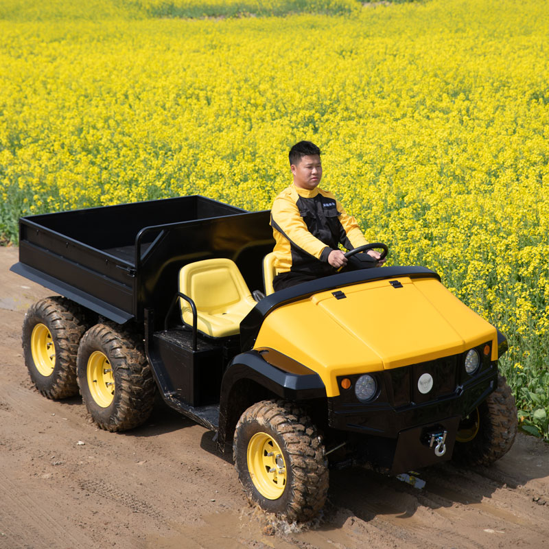 The advantages of electric UTV in load and environmental protection.
