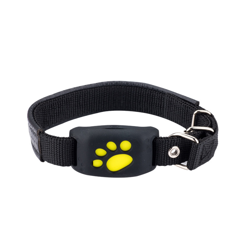 GPS Tracker ho an'ny biby fiompy, Toerana tsy tantera-drano Pet Tracking Smart Collar