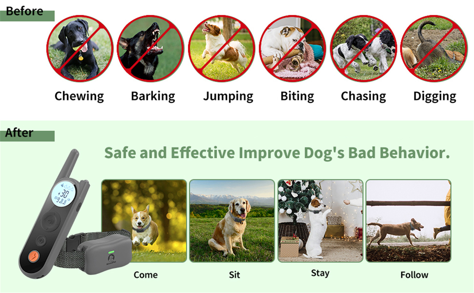 犬の訓練用首輪は何匹の犬を制御できますか?