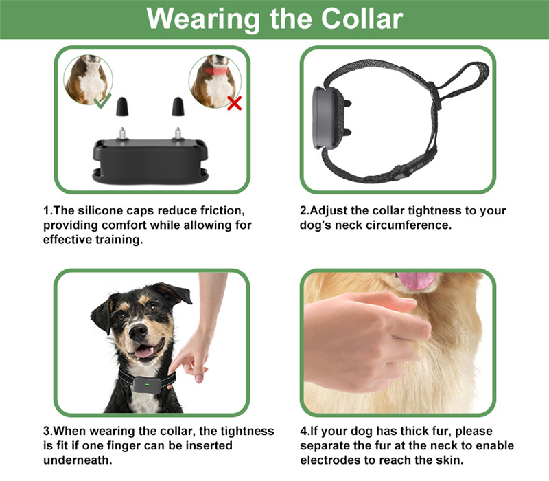 Trainingstips voor het gebruik van een hondentrainingshalsband?