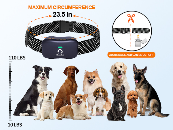 La importancia de los collares electrónicos de adiestramiento para perros