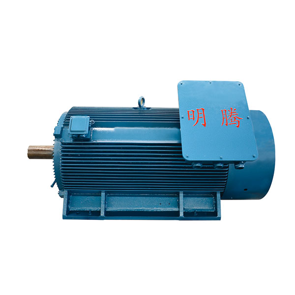 TYCX series low voltage high power super efficient three phase permanent magnet synchronous motor (380V, 660V H355-450) Featured Image
