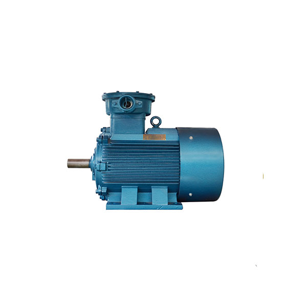TYBCX Series Explosion-proof Low Voltage Super High Efficiency Three-mohato o Permanent Magnet Synchronous Motor (380V H132-355)