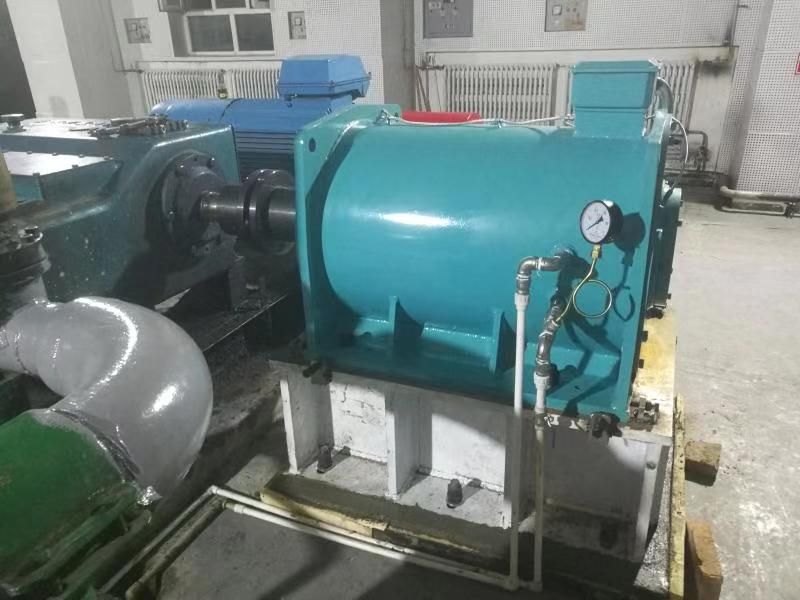 Low speed direct drive three-phase  permanent magnet synchronous motor for plunger pumps in the petroleum industry