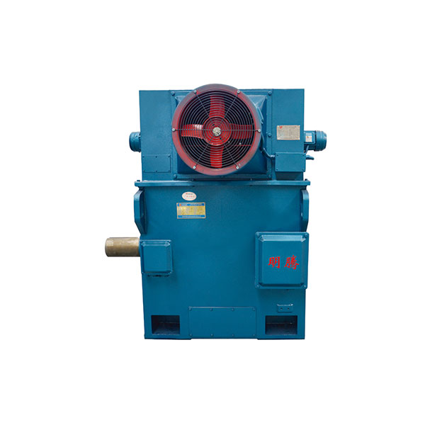 IE5 6kV Low-speed Direct-drive Permanent Magnet Synchronous Motor