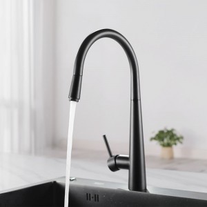 Euro Round Electroplated Black 360° Swivel Pull Out Kitchen Sink Mixer Tap