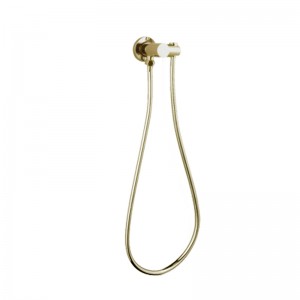 Round Brushed Yellow Gold Shower Holder Wall Connector & Hose Only