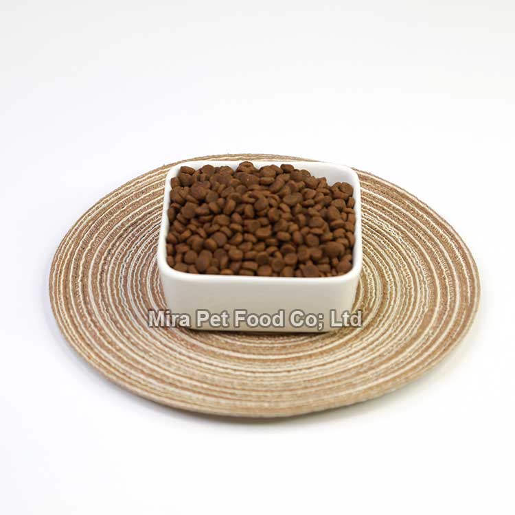 Dry cat food salmon recipe factory China with high quality