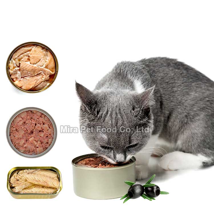 Wet cat food factory, canned cat food wet with beef ,chicken, tuna Featured Image