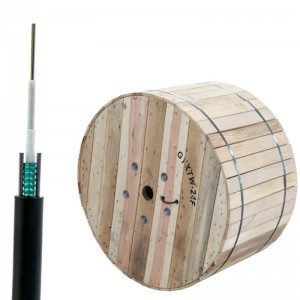 Top Suppliers 48f Fiber Optic Cable - GYXTW 12 Core Fiber Optic Outdoor Fiber Optic Cable – Mireko