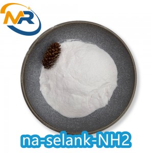 na-selank-NH2