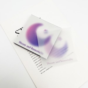 Delicate Shades Vellum Sticky Notes
