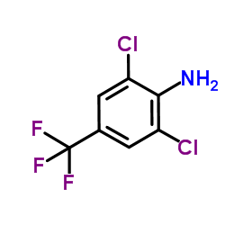 CAS NO.24279-39-8  4-Amino-3,5-dichlorobenzotrifluoride Manufacturer/High quality/Best price/In stock /SAMPLE IS FREE/DA 90 DAYS