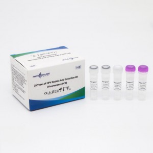 28 Llojet e acidit nukleik HPV