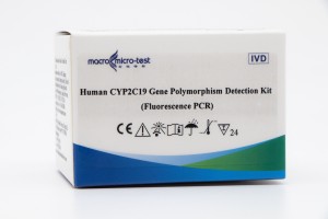Полиморфизм гена CYP2C19 человека