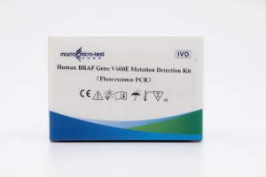 मानव BRAF जीन V600E उत्परिवर्तन