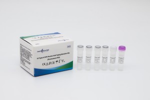 14 typer af HPV-nukleinsyretypning