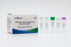 SARS-CoV-2 Variants