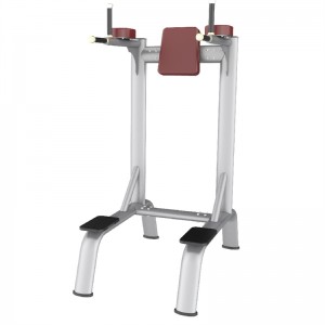 MND-AN58 Gym Fitness Equipment Ginocchia Verticale Up / Dip Chin Up Dip