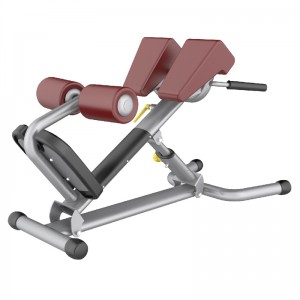 MND-AN73 Gym Kommersiële fiksheidstoerusting Bodybuilding sit-up Romeinse stoel