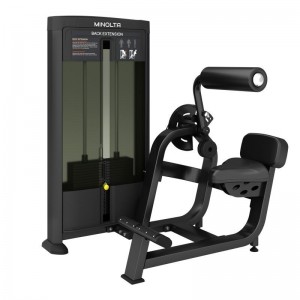 MND-FD31 Sports Fitness Gym Utstyr Klassisk stil Styrketrener Ryggforlengelse